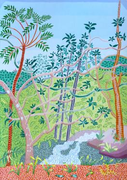 Carol's Rainforest