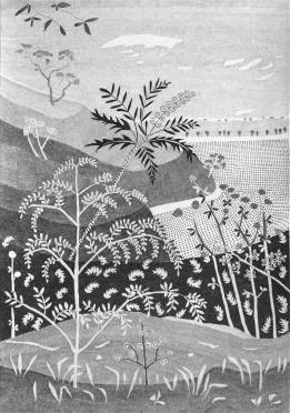 Headland #4