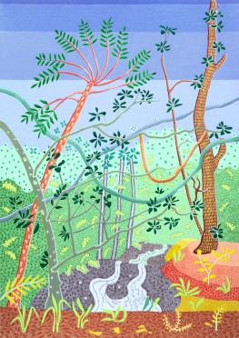 Palms, Vines and Stream