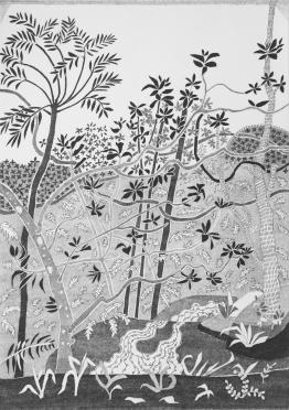 Rainforest #1