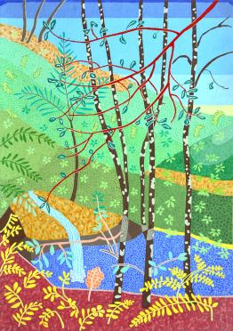 Waterfall and Trees
