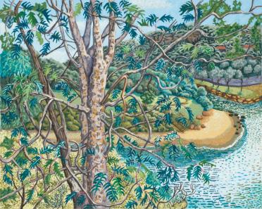 Black Wattle and Small Beach