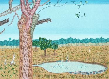 Tree Trunk and Waterhole - Zimbabwe
