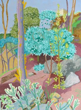 Garden - Morning
