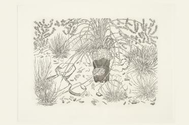 Grass Tree and Other Plants