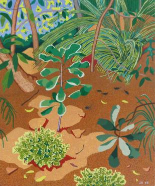 Ground Level - Waratah